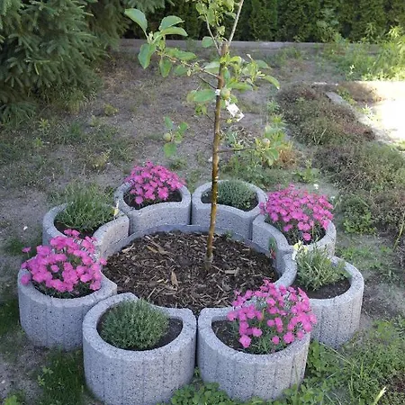 Ferienwohnung Spreewaldwiese Naehe Tropical Island Διαμέρισμα Waldow